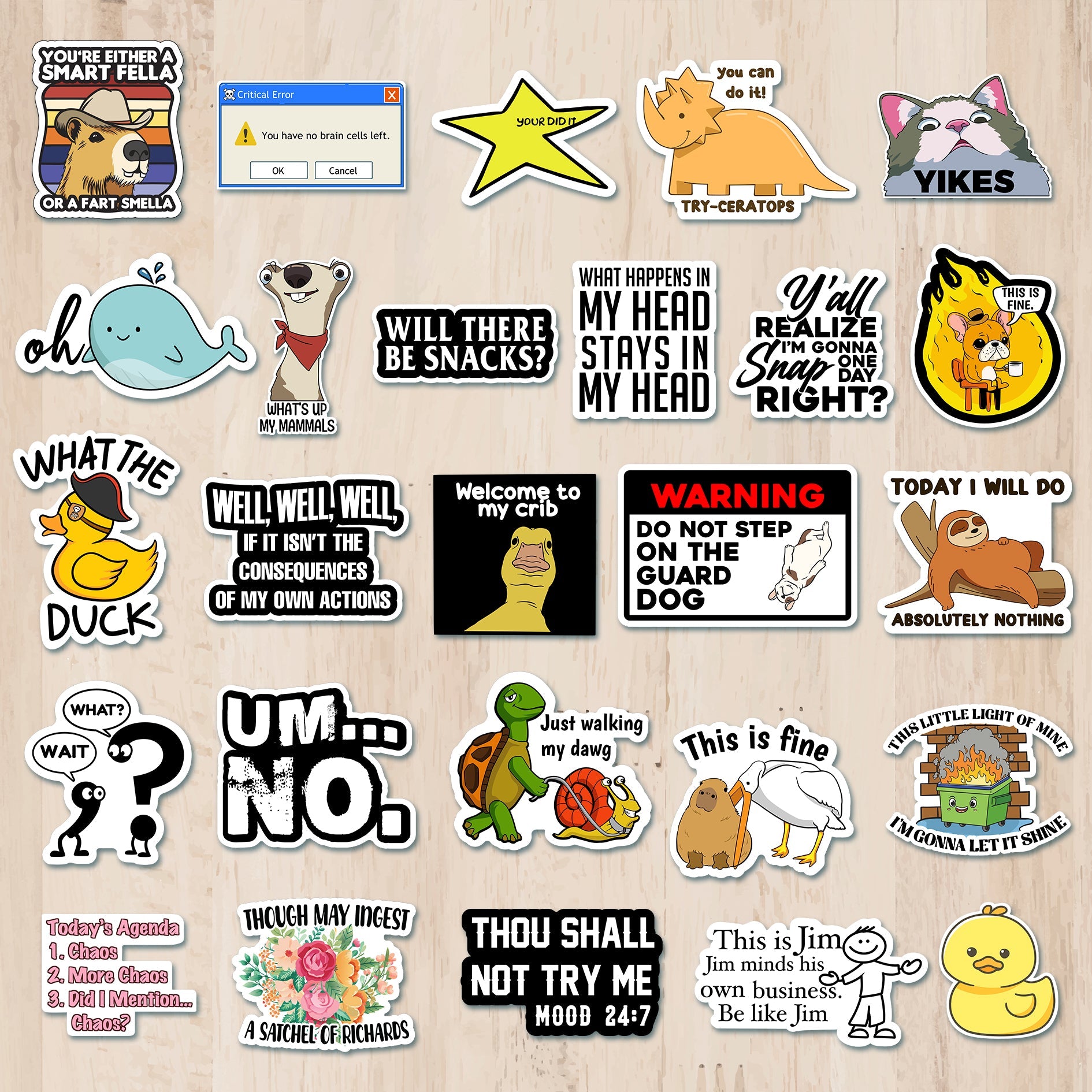 225PCS Funny Holographic Stickers, Waterproof